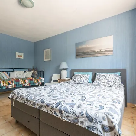 Vignes * Saint-Césaire-de-Gauzignan