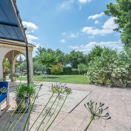 Vignes Saint-Césaire-de-Gauzignan