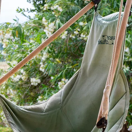 Vignes Villa Saint-Césaire-de-Gauzignan