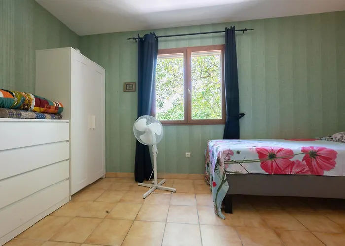 Vignes Saint-Césaire-de-Gauzignan